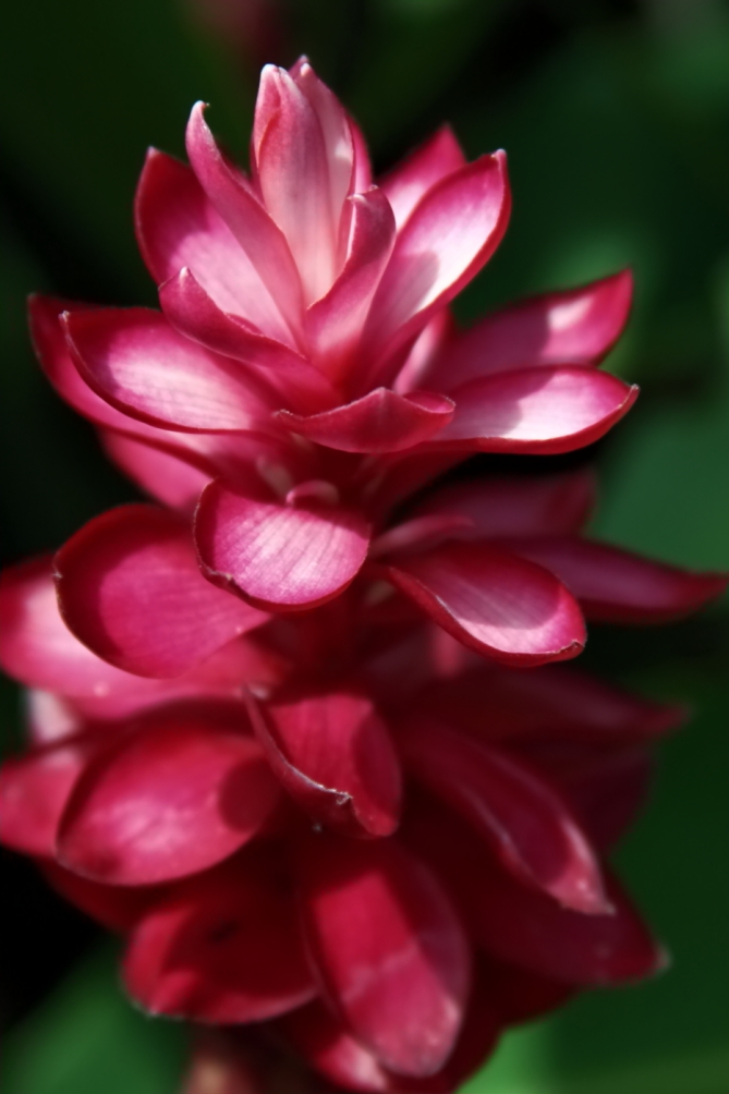 20090907 382